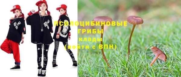 не бодяженный Алексин